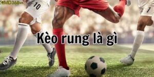 Kèo Rung Là Gì
