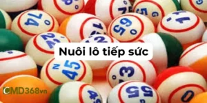 Nuôi Lô Tiếp Sức